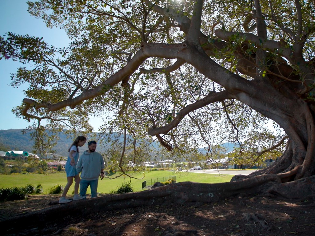 [Land for Sale] Vista Park Estate, Wongawilli OpenLot